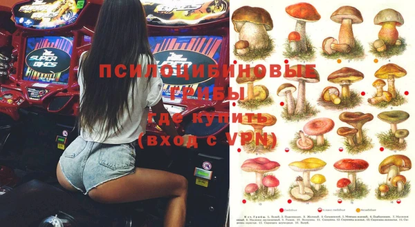 крисы Покровск