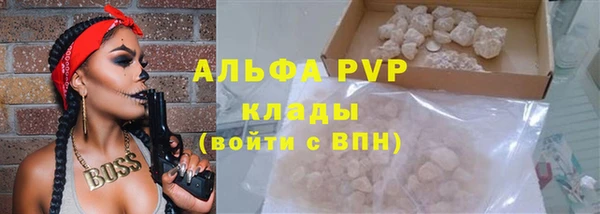 стаф Белокуриха