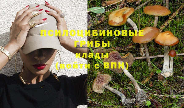 прущая мука Покров