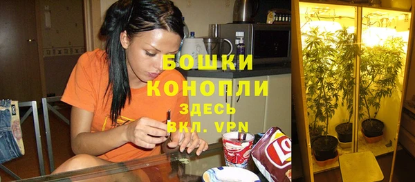 крисы Покровск
