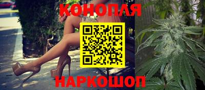 стаф Кинель