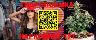 стаф Будённовск