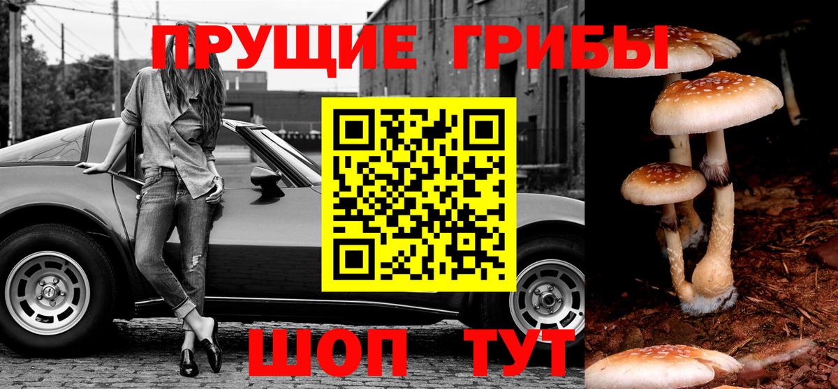 Псилоцибиновые грибы GOLDEN TEACHER  Старая Русса  Галлюциногенные грибы ЛСД 