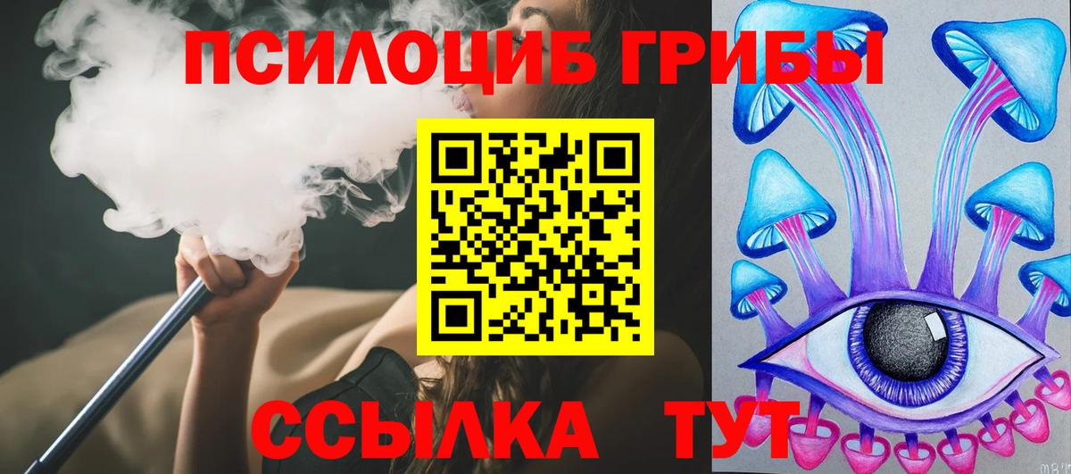 Псилоцибиновые грибы мицелий  Вход с VPN  цена   Старая Русса 
