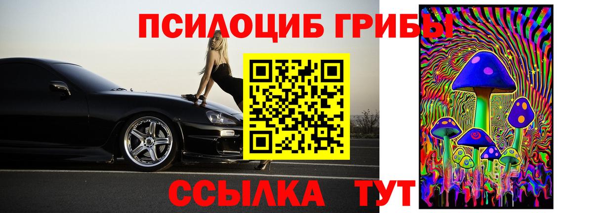 Галлюциногенные грибы Magic Shrooms Старая Русса