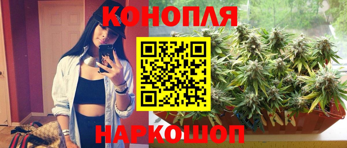 Каннабис SATIVA & INDICA  МАРИХУАНА OG Kush  Канабис план  Вход с VPN  Старая Русса 